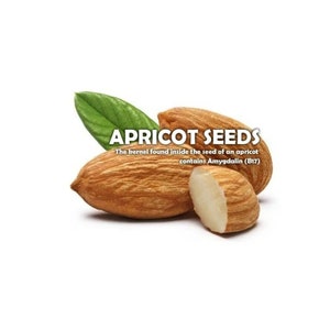 Raw Organic Bitter Apricot Seeds image 2