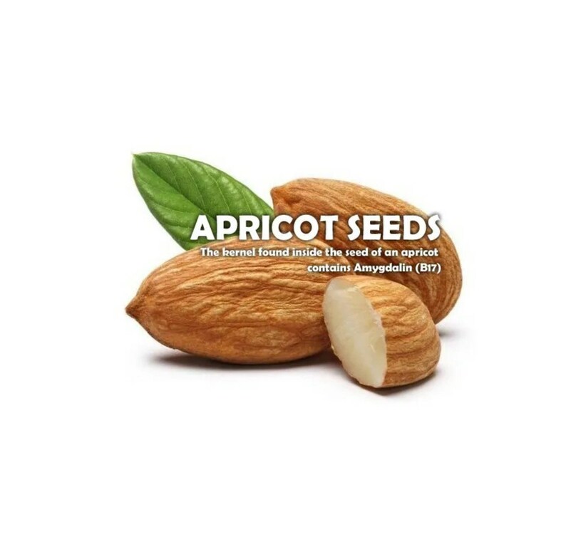 Raw Organic Bitter Apricot Seeds image 2