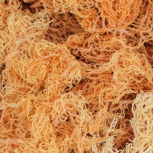 Dried Wildcrafted Jamaican Sea Moss