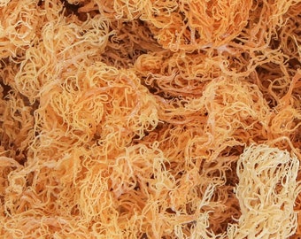 Dried Wildcrafted Jamaican Sea Moss