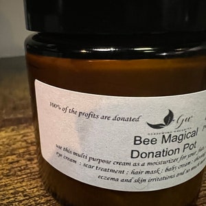 Bee Magical Donation Pot image 4