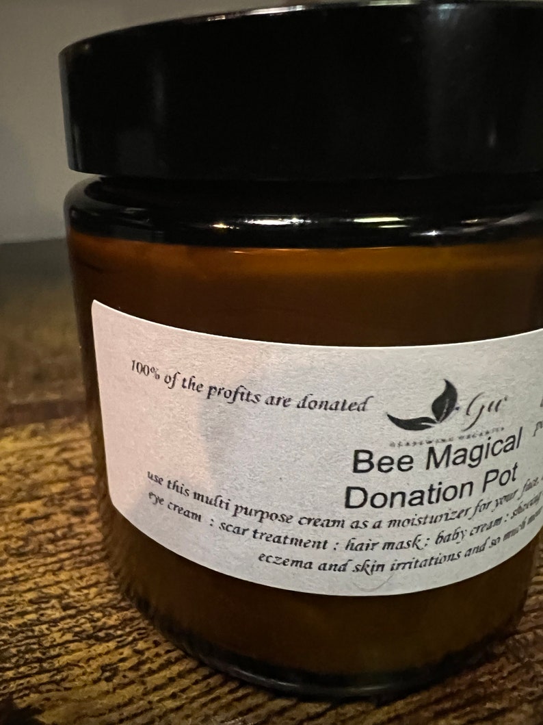 Bee Magical Donation Pot image 4