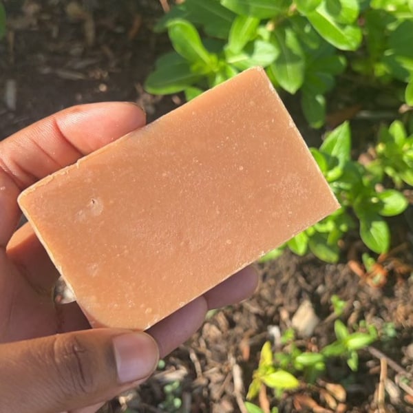 Pumpkin Spice | Soap Bar