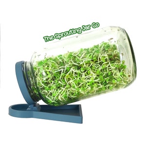 Tapa para frasco de germinación con bandeja de goteo incorporada