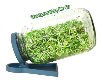 Deckel für Sprouting-Glas mit eingebauter Abtropfschale