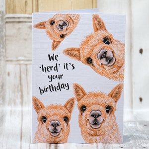 Alpaca birthday card, "we herd", A6 Greetings Card