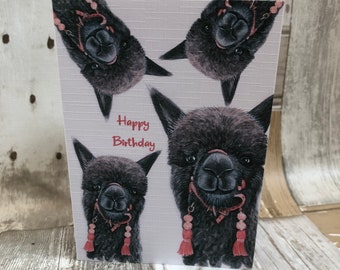 Alpaca birthday card, black alpaca, black cria,  A6 greetings card