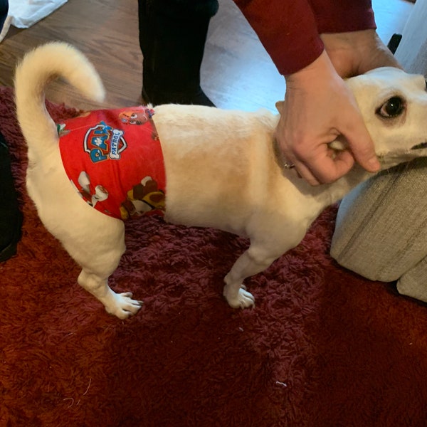 Dog Belly Band Etsy