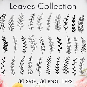 Leaves bundle svg Leaves set svg Leaves set png Leaf svg file Leaves clipart Leaf clipart bundle Laurel svg Hand drawn leaves svg Branches