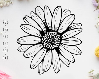 Daisy flower svg Daisy svg Flower svg Sunflower svg Daisy decal svg Daisy png Floral svg Wedding flower svg Daisy clipart Daisy sublimation