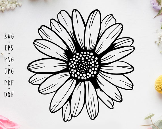 Daisy Flower Svg Daisy Svg Flower Svg Sunflower Svg Daisy - Etsy Israel