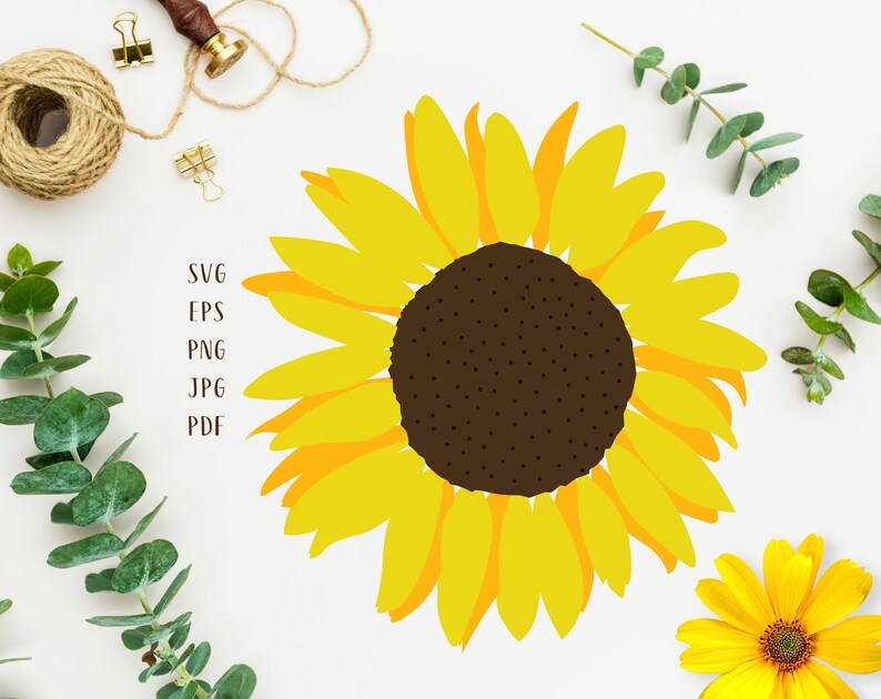 Download Sunflower svg Sunflower png Sunflower clipart Sunflower ...