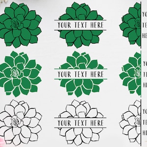 Könnte beinhalten: Drei Variationen einer grünen Sukkulente mit einem schwarzen Banner, auf dem "YOUR TEXT HERE" steht. Die Sukkulente ist eine beliebte Zimmerpflanze und wird oft in der Inneneinrichtung verwendet.