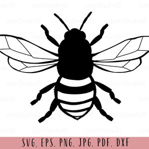 Bee svg Bee png Bee clipart Honey bee svg Bee cut file Bee shirt svg Bee clip art Bee digital file Bee sublimation file Bee cutting file