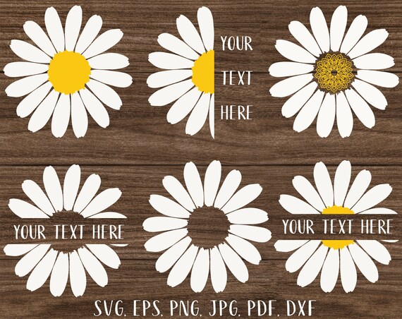 Download Daisy Bundle Svg Flower Svg Daisy Monogram Daisy Svg Daisy Etsy