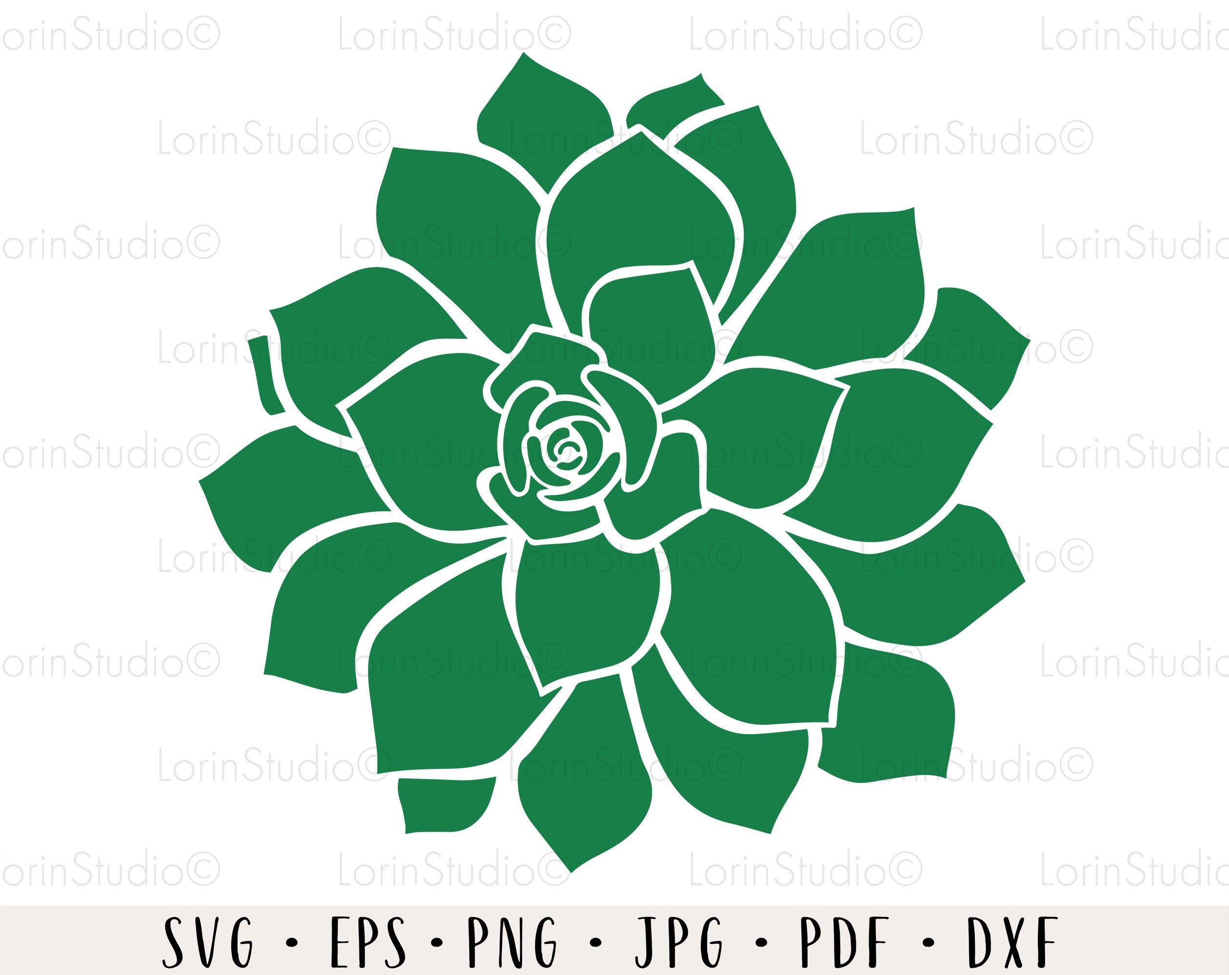 Succulent svg bundle Succulent cut file Succulent monogram | Etsy
