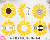 Sunflower bundle svg Sunflower svg Sunflower monogram Sunflower clipart Sunflower cut files Sunflower png Floral svg Sunflower wedding svg