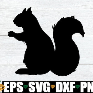 Écureuil Svg, Svg écureuil mignon, écureuil couper fichier, écureuil PNG, Svg animal de la forêt, Silhouette d'écureuil mignon, Clipart automne, Clipart automne