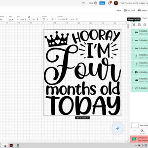 May include: A black and white graphic design on a computer screen that says 'Hooray I'm Four Months Old Today' with a crown above the word 'Hooray'.