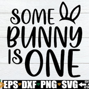 Some Bunny Is One svg, Camiseta de aniversário de Páscoa svg png, Coelhinho de aniversário svg, Aniversário de Páscoa svg, Primeiro aniversário de coelho svg, 1º aniversário svg