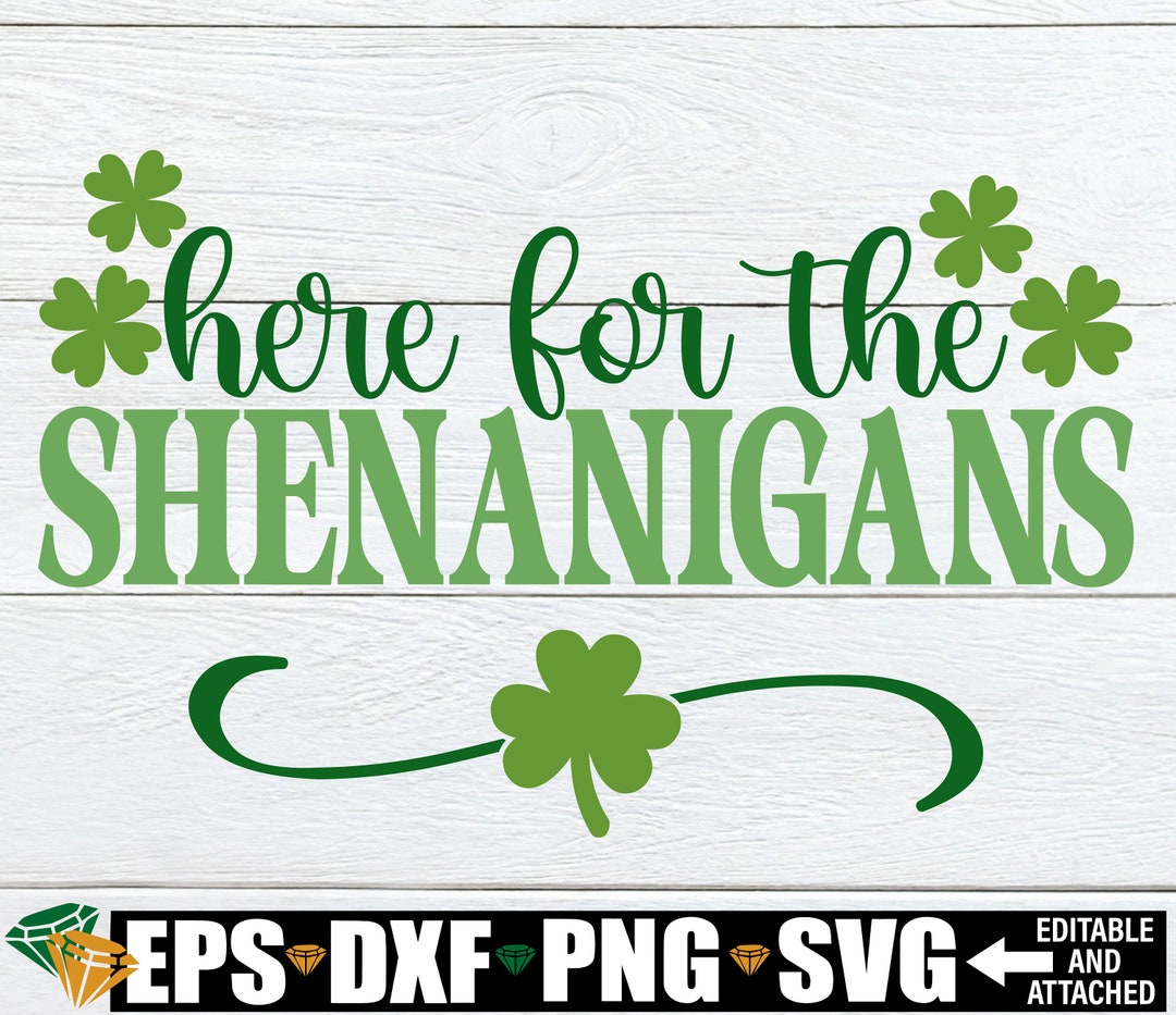 shenanigans leeds st patricks day fight