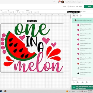 May include: A digital design for a watermelon-themed birthday party. The design features the text "one in a melon" in pink and green lettering with a red watermelon slice with black seeds and pink polka dots.