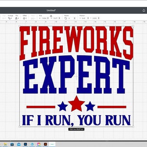 Pu&ograve; includere: Un design grafico rosso, bianco e blu con il testo "FIREWORKS EXPERT" in un carattere audace e a blocchi. Sotto il testo c'&egrave; un design a stelle rosso, bianco e blu e il testo "IF I RUN, YOU RUN".