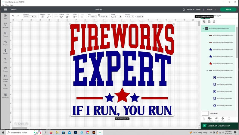 Pu&ograve; includere: Un design grafico rosso, bianco e blu con il testo "FIREWORKS EXPERT" in un carattere audace e a blocchi. Sotto il testo c'&egrave; un design a stelle rosso, bianco e blu e il testo "IF I RUN, YOU RUN".