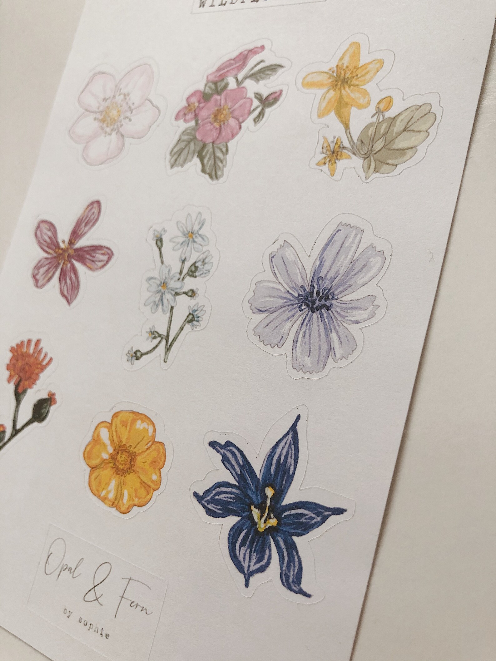 Wildflowers Sticker Sheet - Etsy