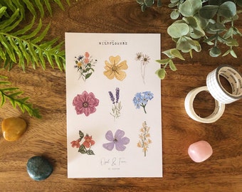 Wildflowers Sticker Sheet