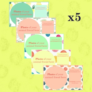 Make Your Own Animal Friend Cards (Ensemble de 5)