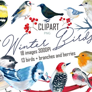 Clipart oiseaux aquarelle, ensemble d'oiseaux d'hiver, animaux de la forêt - rouge-gorge, corbeau, mésange, oiseaux chanteurs - scrapbooking art nature - numérique instantané