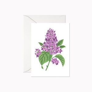 Lilas violet | Mini-Carte