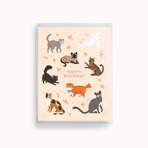 carte d’anniversaire de chat | Lot de 8