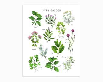 Herb Garden Art Print | Light