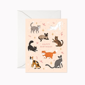 Carte d'anniversaire de chat