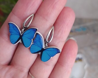 May include: A pair of butterfly earrings with bright blue wings and silver-colored metal accents. The butterfly wings have a detailed pattern and are set against a light background. The earrings are designed to dangle.