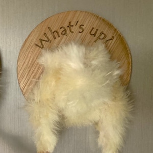 Chicken butt fridge magnet - chick ass fridge magnet - Darkly Hilarious Gag Gift