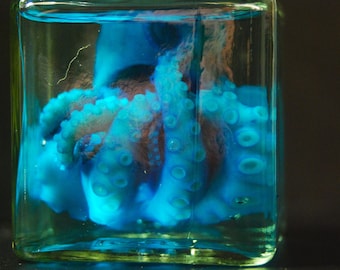 SALE: Medium BLUE octopus in square jar, Wabi Sabi wet specimen, cthulhu, kraken. curiosity, oddity, steampunk décor