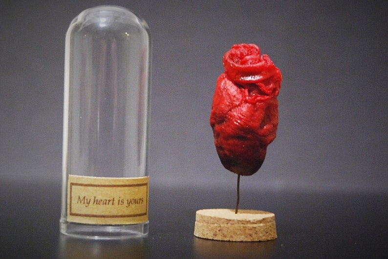 XL Herzen in einer Glasglocke / Kuppel / Cloche, Label, echtes präpariertes Herz, mumifiziert, Ente Bild 8