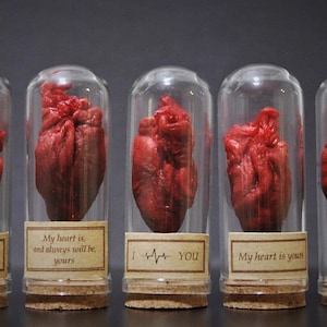 Peut inclure: Cinq bocaux en verre avec des bouchons en liège, chacun contenant un modèle anatomique de cœur rouge. Les bocaux sont étiquetés avec différents messages, notamment "Sweetheart", "Mon cœur est, et sera toujours, le tien", "I - YOU", et "Mon cœur est à toi".
