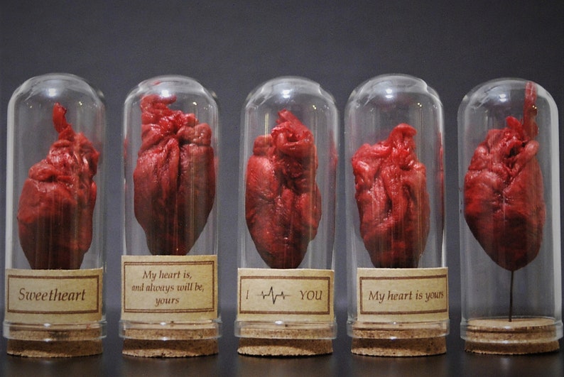 XL Herzen in einer Glasglocke / Kuppel / Cloche, Label, echtes präpariertes Herz, mumifiziert, Ente Bild 1