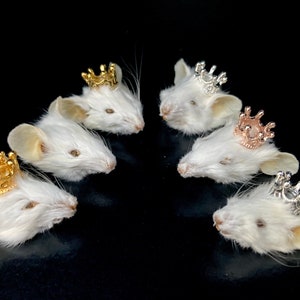 Royal mummified mouse head