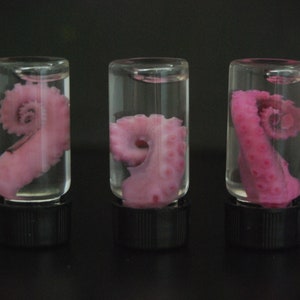 Pastell PINK OCTOPUS TENTACLE in einem Glas, nasses Exemplar, Diaphonisierung. Reifer nasser Inhalt :)