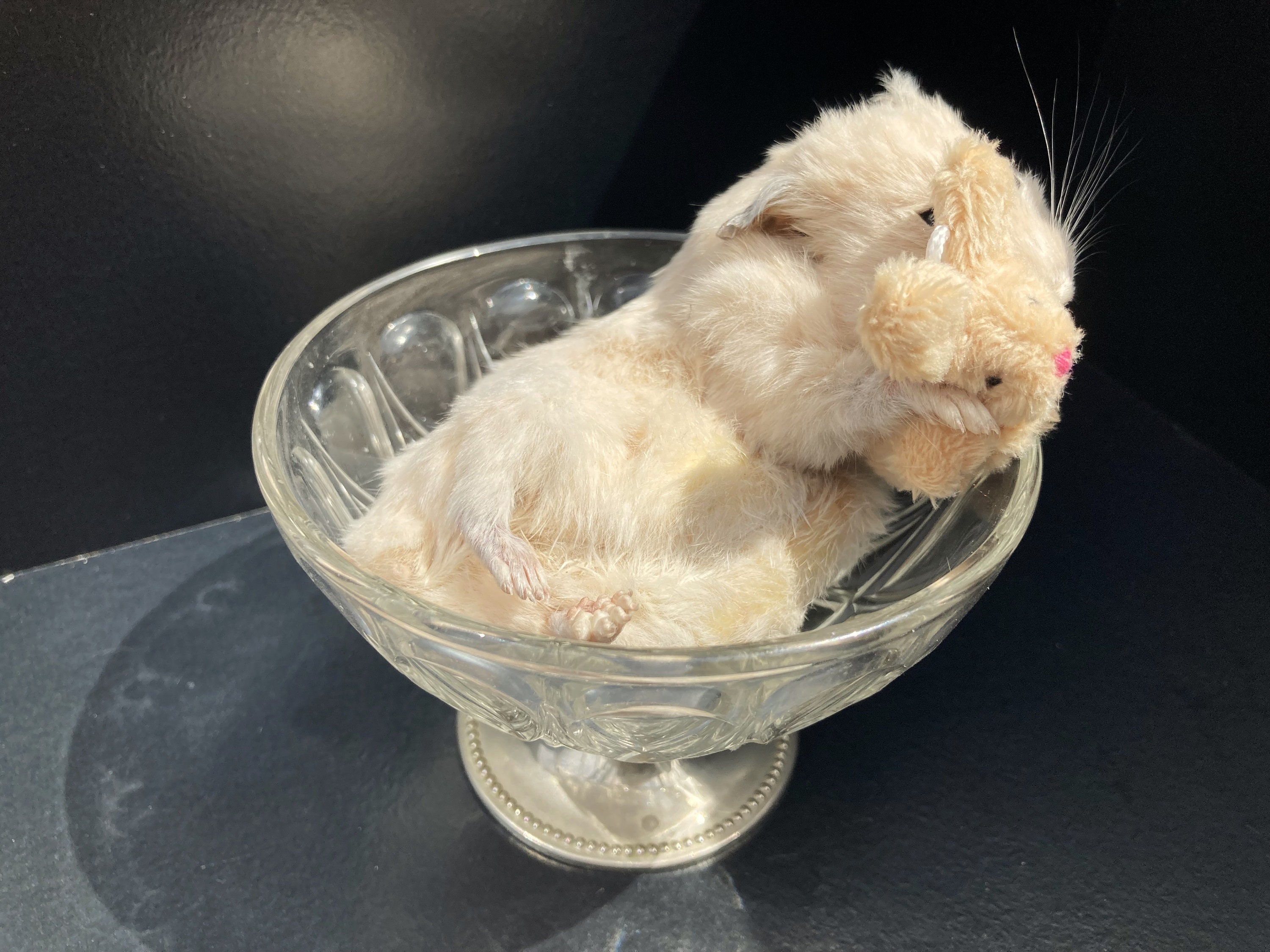 ヴィンテージカットガラスに入った愛らしいクリーム色のシリアハムスター、銀色の足付き - Etsy 日本
