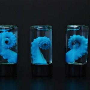 Blue OCTOPUS TENTACLE in a jar, wet specimen, diaphonization. Mature wet content :)