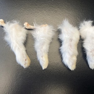 Exposed Bone Lucky Rabbit Paws  - Soft and Serene Fortune Charms, Ethically Sourced