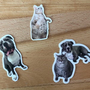 3 PACK- Cat and Dog Sticker, Vinyl Sticker, Pitbull Sticker, Laptop Decal, Animal Stickers, MacBook Decals, Cat Sticker, Chonky Cat Sticker