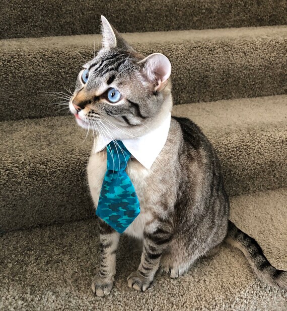 etsy cat tie