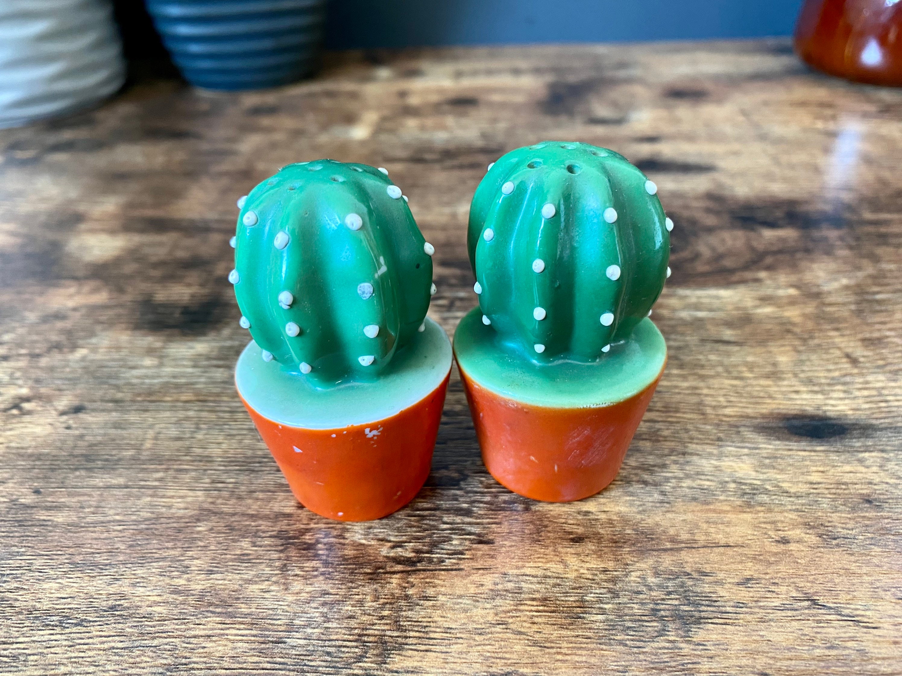 Vintage Cactus Salt and Pepper Shakers Salt and Pepper Set Etsy UK